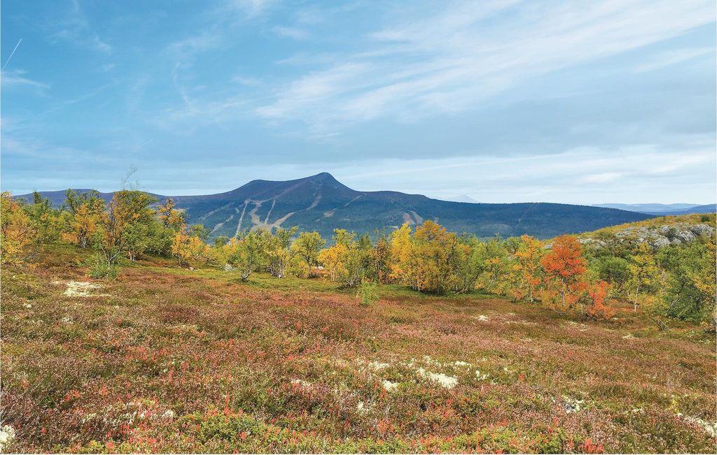 Photo of Outdoor in Lofsdalen