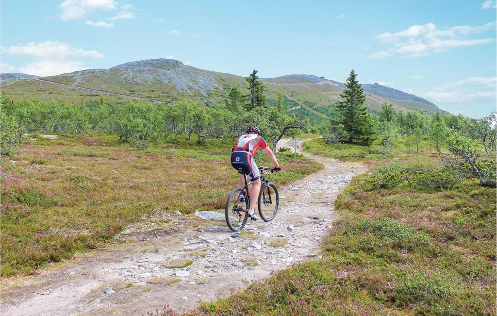 Photo of Others in Lofsdalen