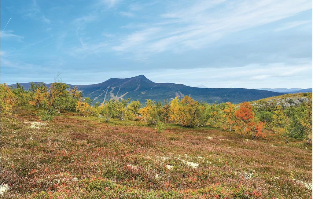 Photo of Outdoor in Lofsdalen