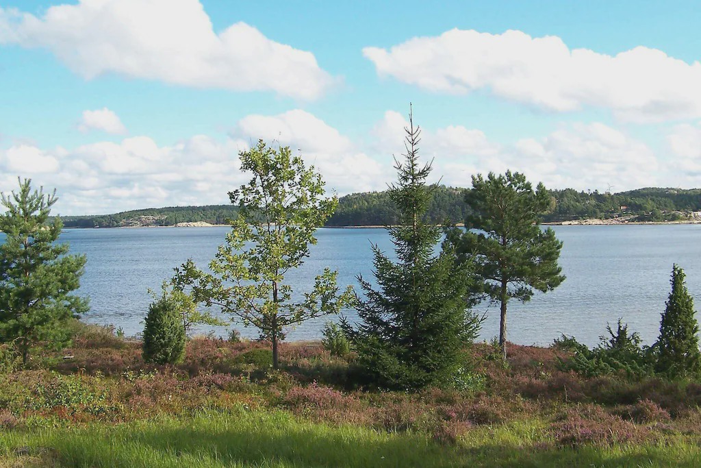 Photo of Outdoor in Tanum