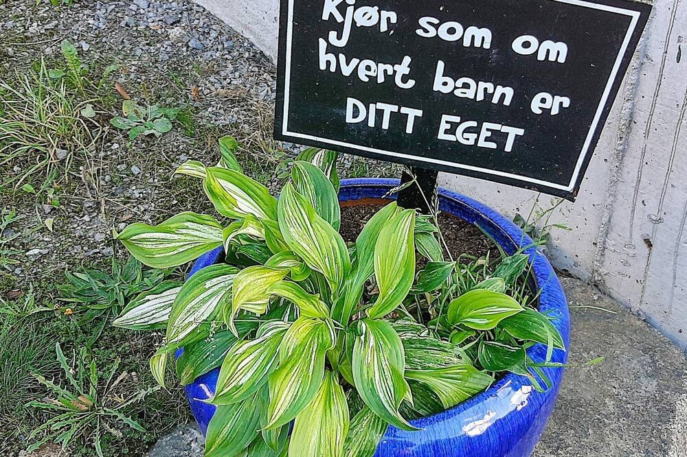 Photo of Outdoor in Lyngdal