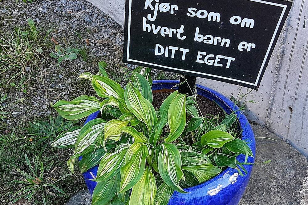 Photo of Outdoor in Lyngdal