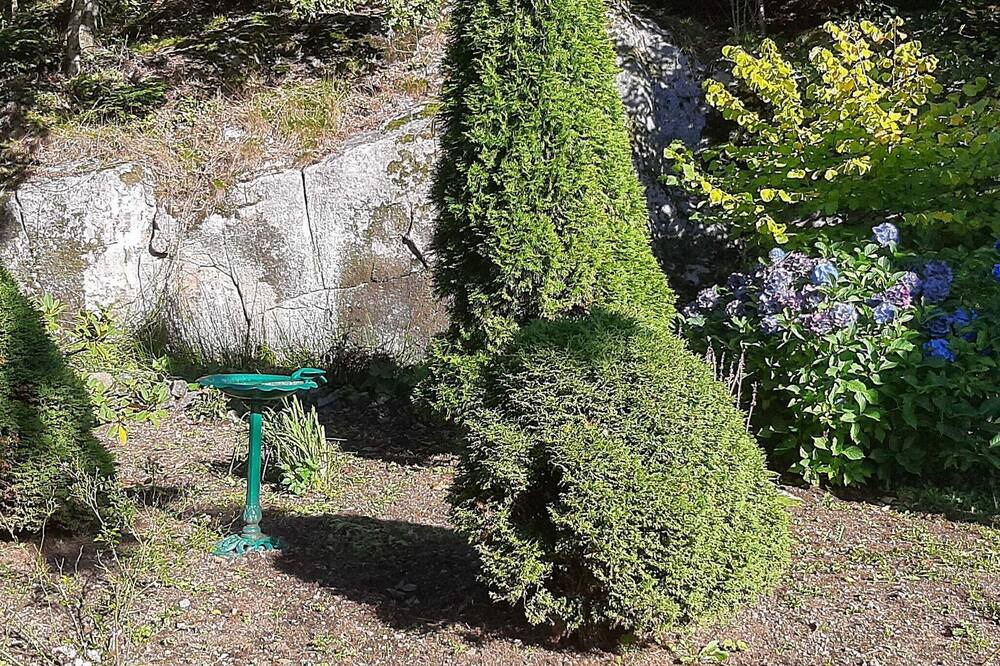 Photo of Outdoor in Lyngdal