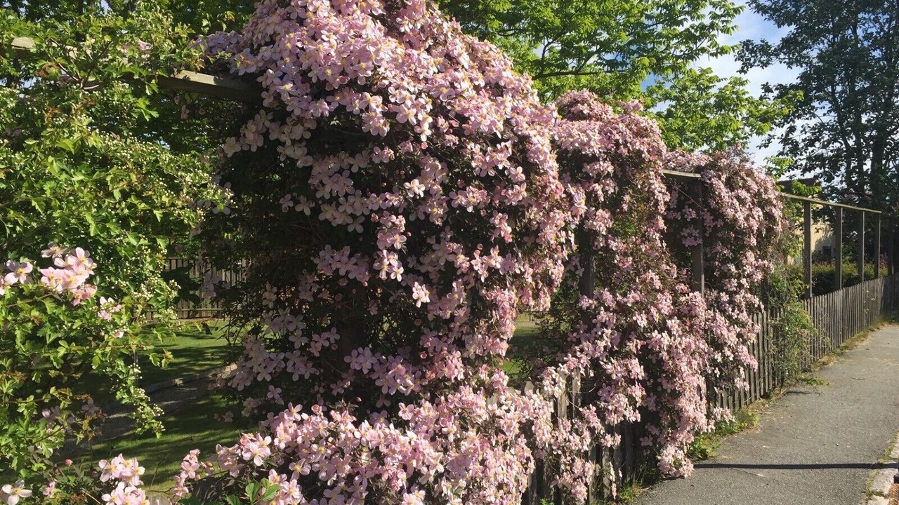 Photo of Outdoor in Simrishamn