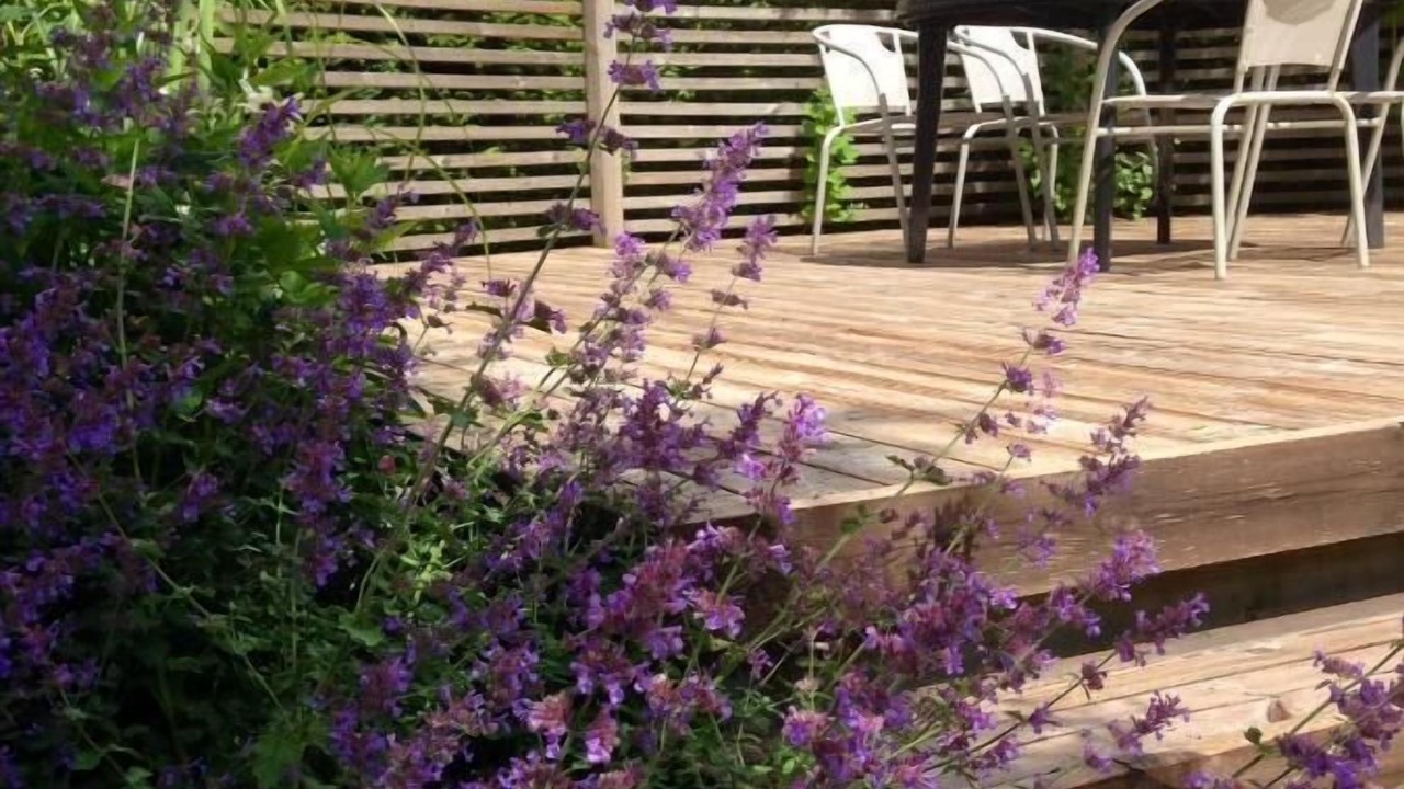 Photo of Outdoor in Simrishamn