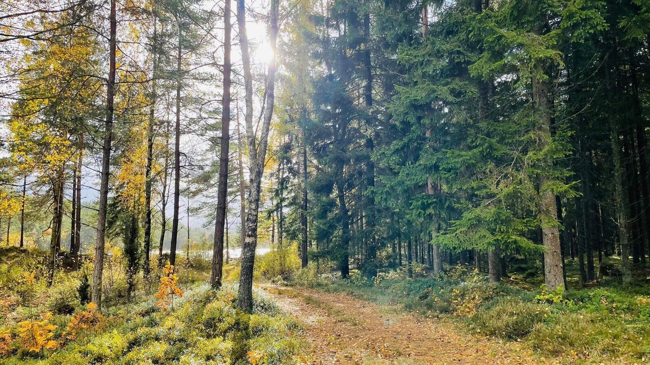 Photo of Outdoor in Gallstad