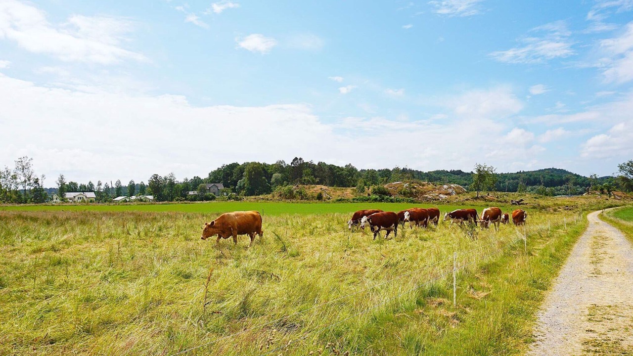 Photo of Outdoor in Mora