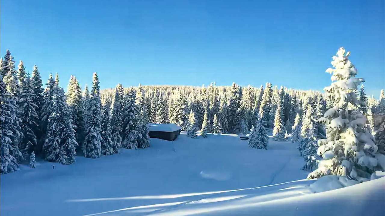 Photo of Others in Lillehammer