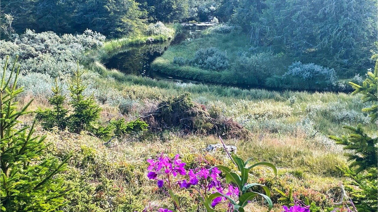 Photo of Outdoor in Lillehammer