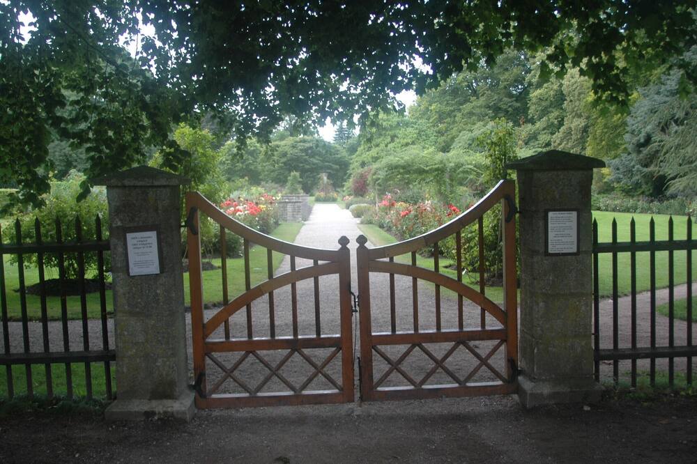 Photo of Others in Tingstade