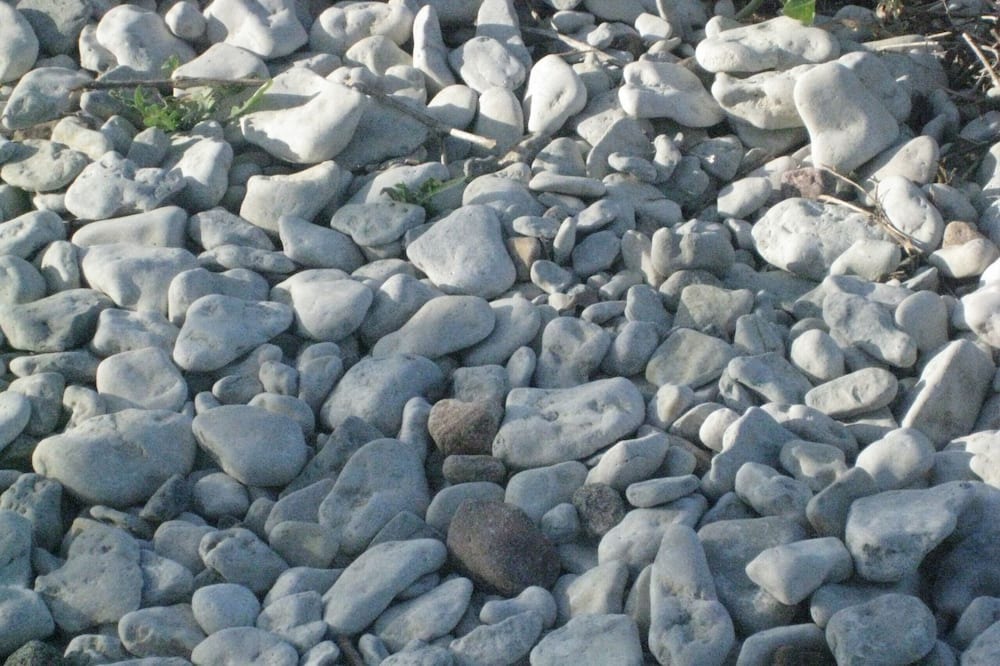 Photo of Outdoor in Tingstade