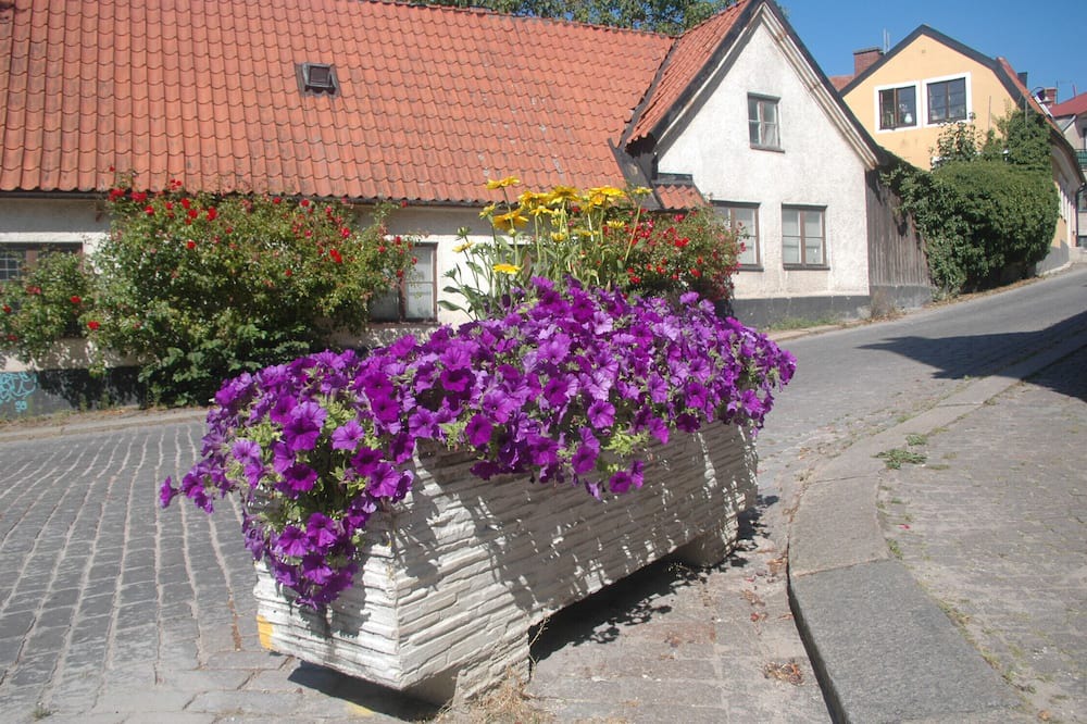 Photo of Others in Tingstade