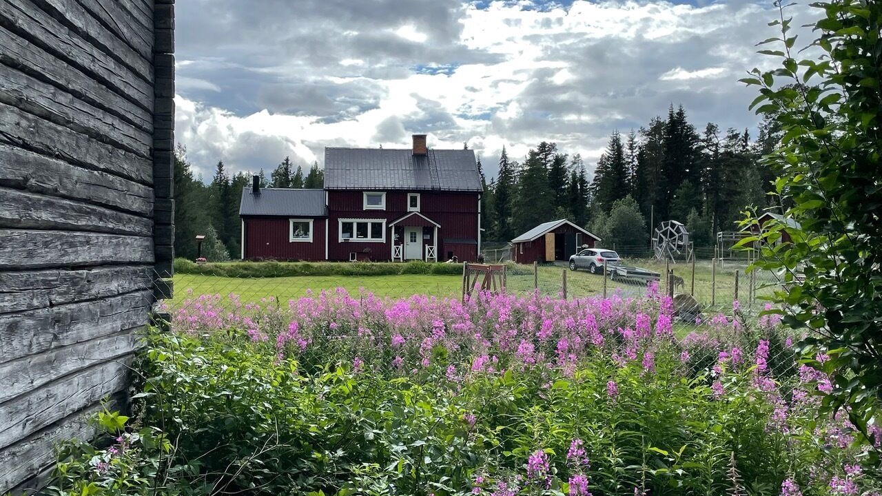 Photo of Outdoor in Storuman