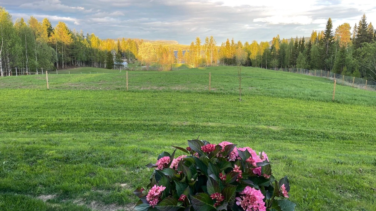 Photo of Outdoor in Storuman