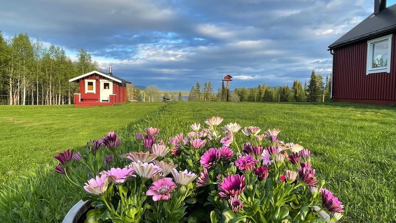 Photo of Outdoor in Storuman