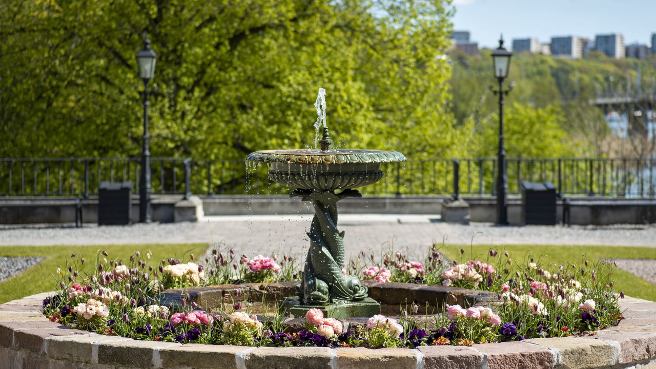 Photo of Outdoor in Appelviken