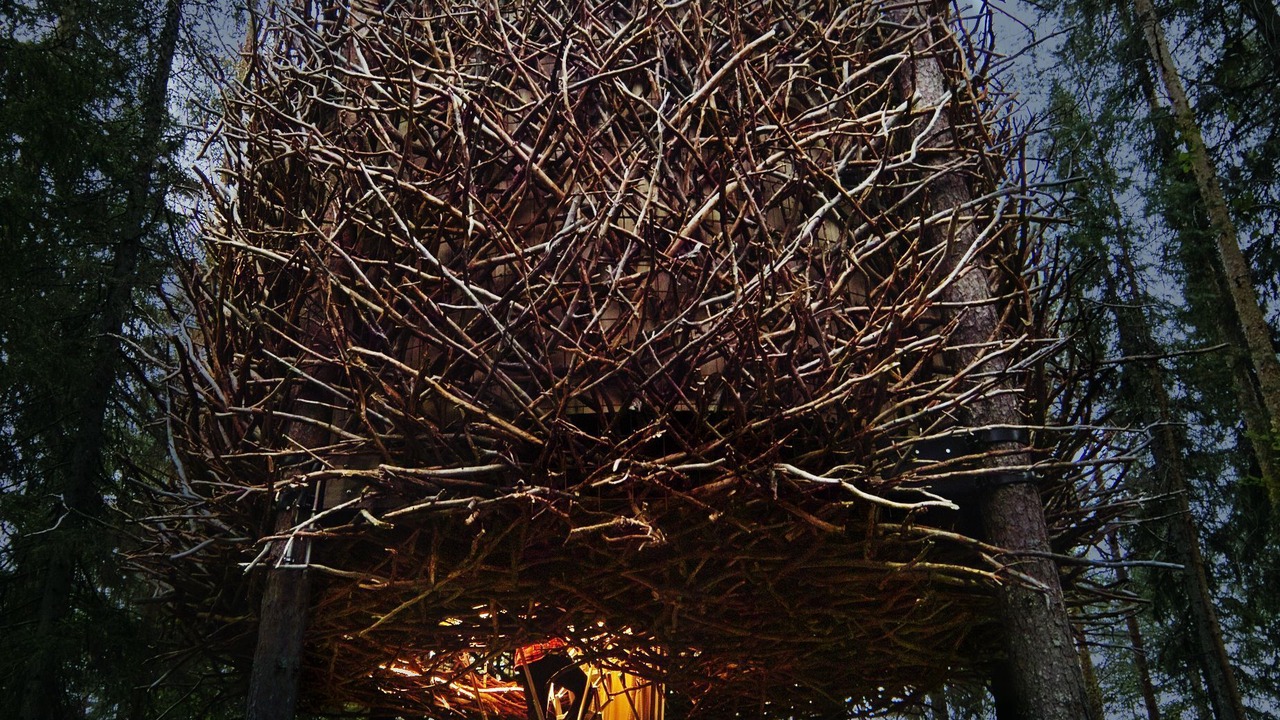Photo of Outdoor in Harads