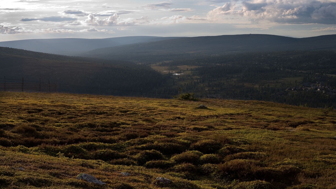 Photo of Others in Salen
