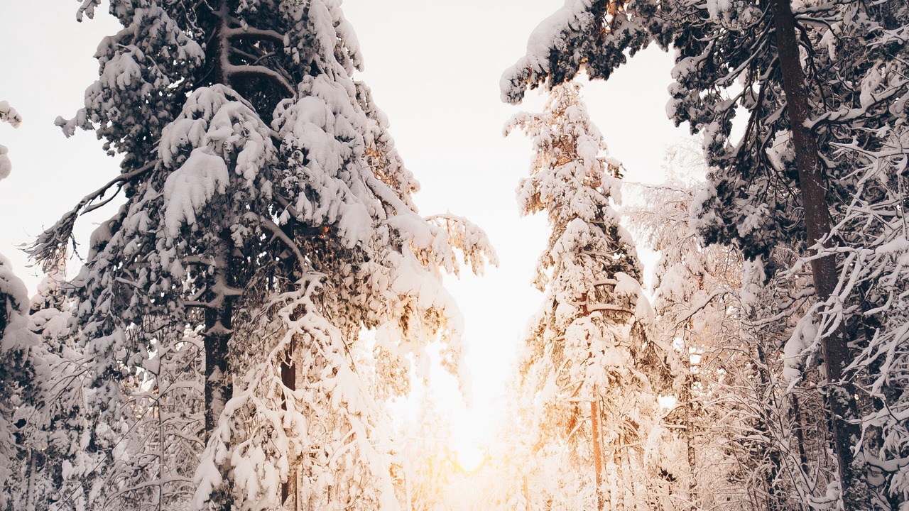 Photo of Others in Sundsvall