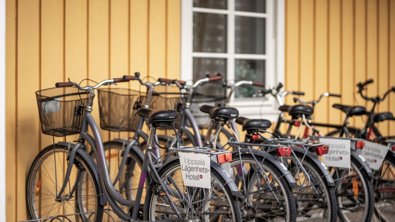 Photo of Outdoor in Uppsala