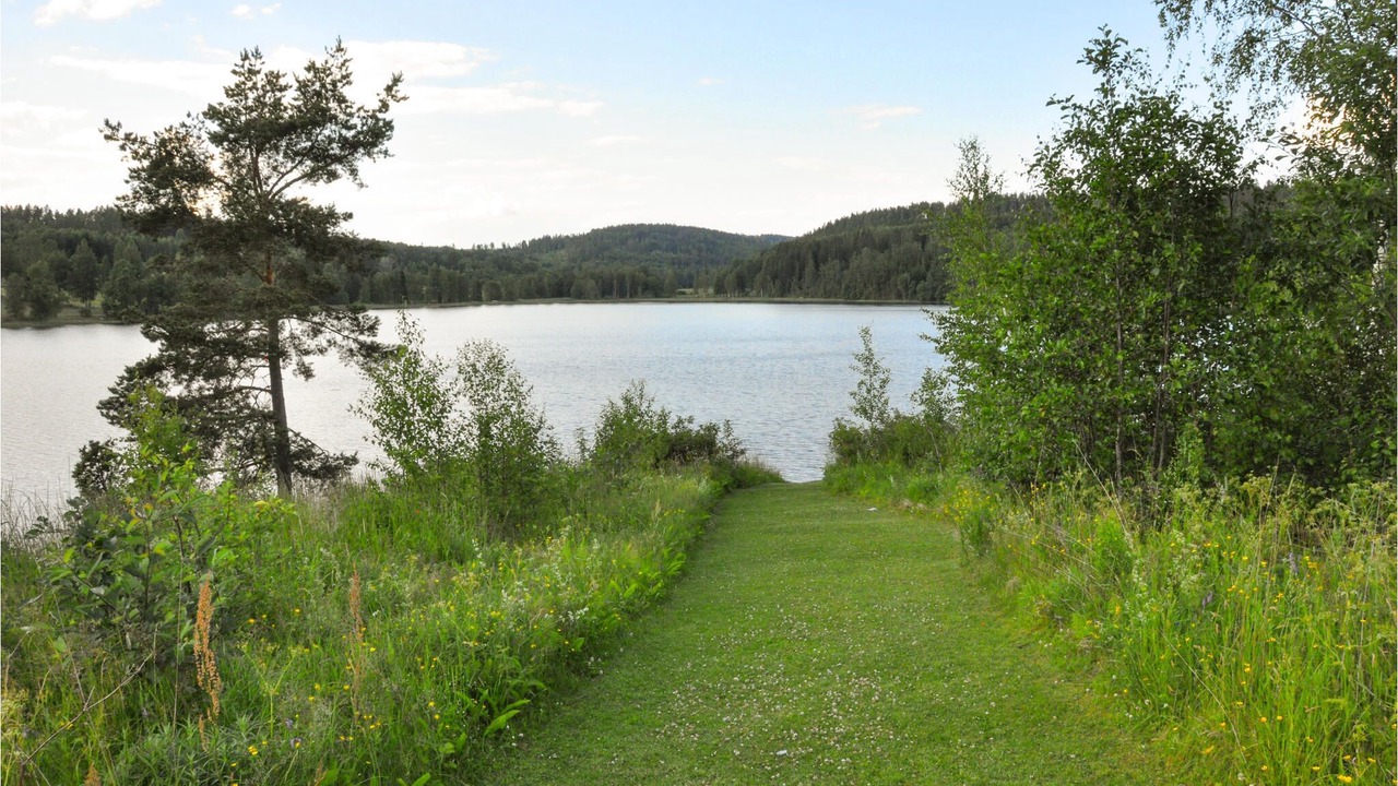 Photo of Outdoor in Kil