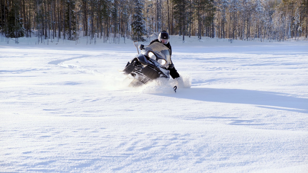 Photo of Others in Lapptrask