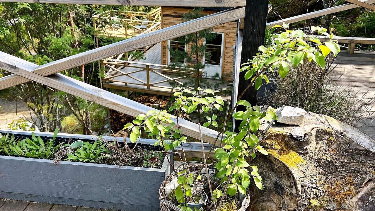 Photo of Outdoor in Tyreso O