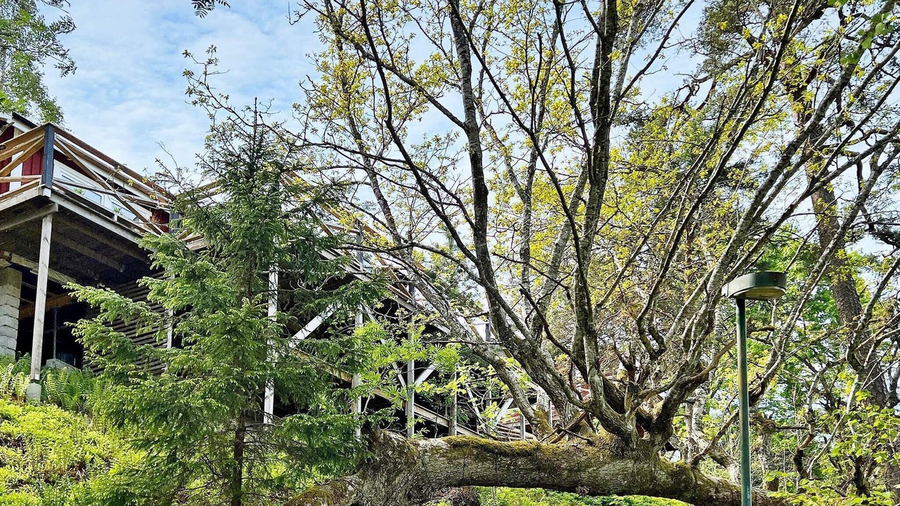 Photo of Outdoor in Tyreso O