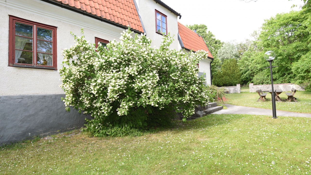 Photo of Outdoor in Slite