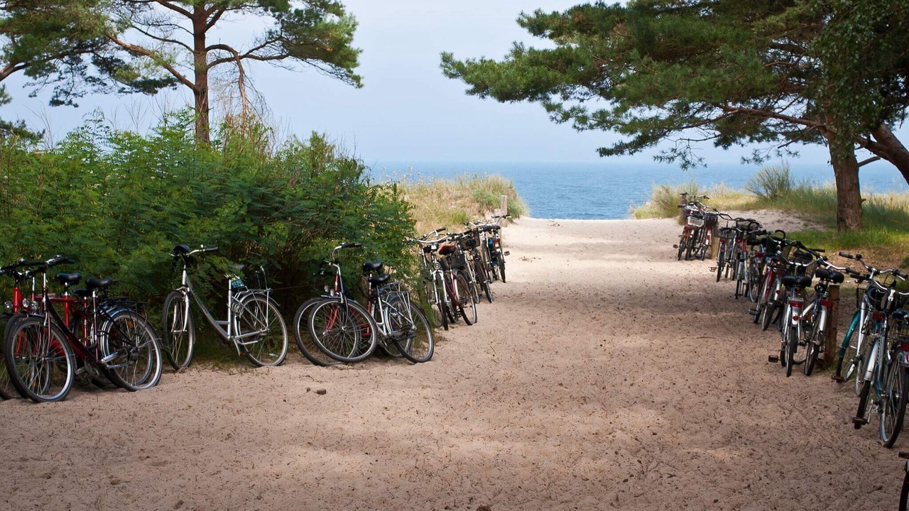 Photo of Others in Hollviken