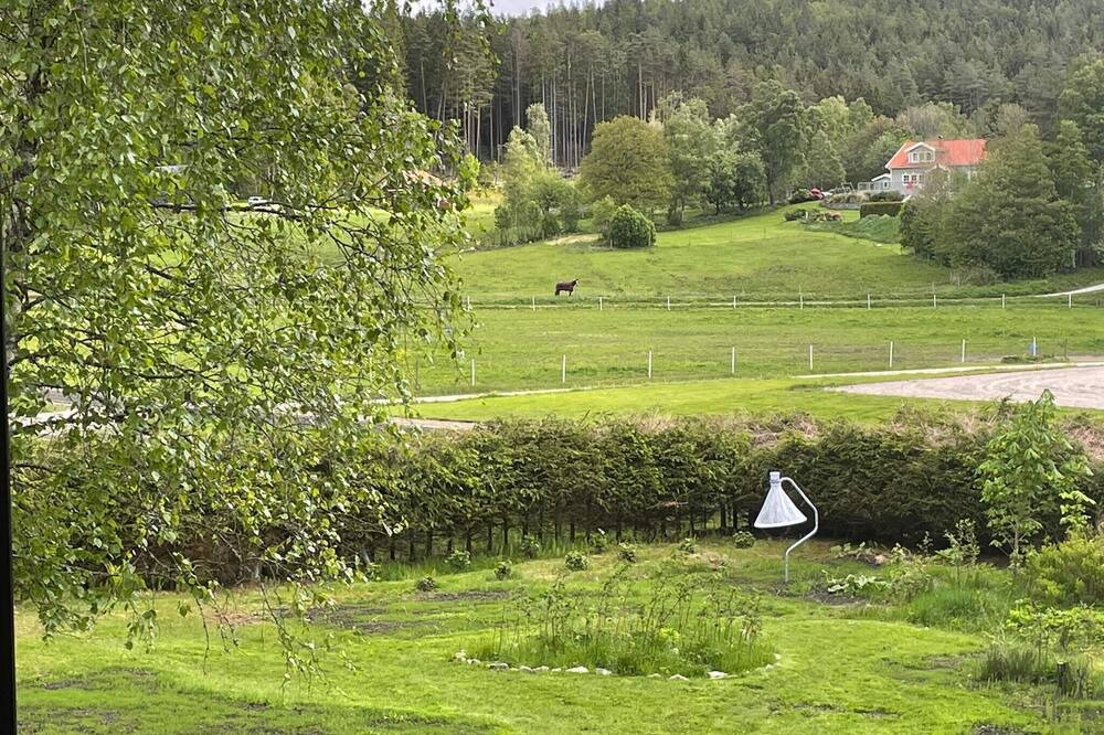 Photo of Others in Spekerod