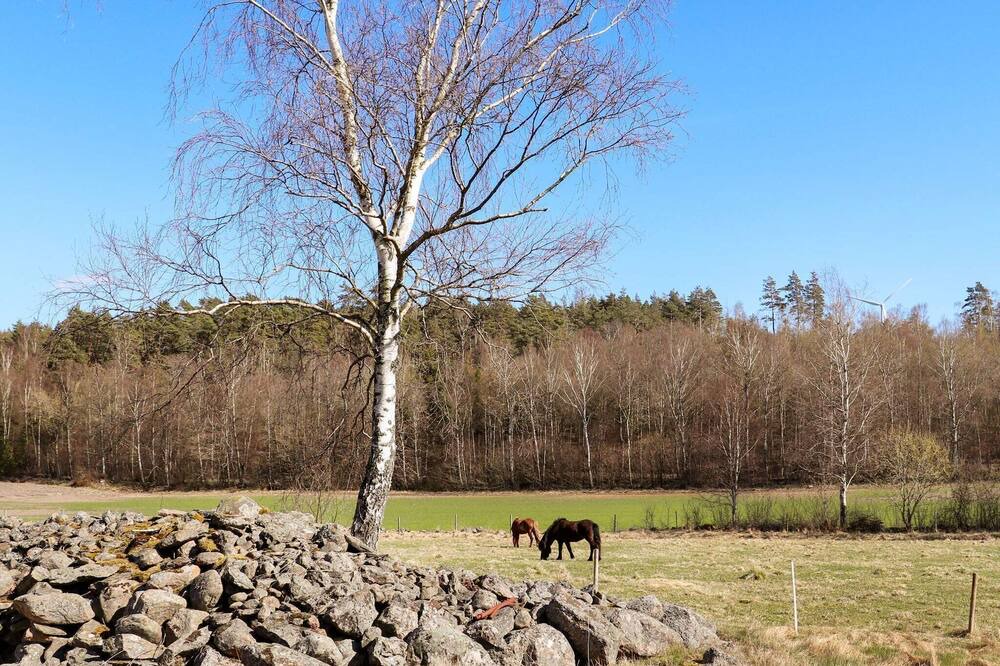 Photo of Outdoor in Askloster