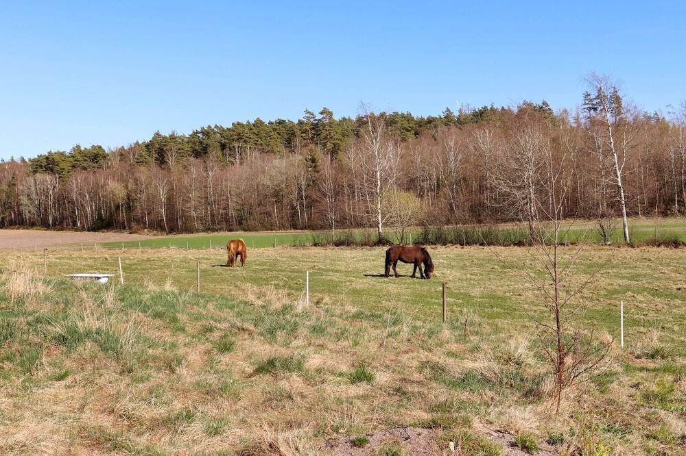Photo of Outdoor in Askloster