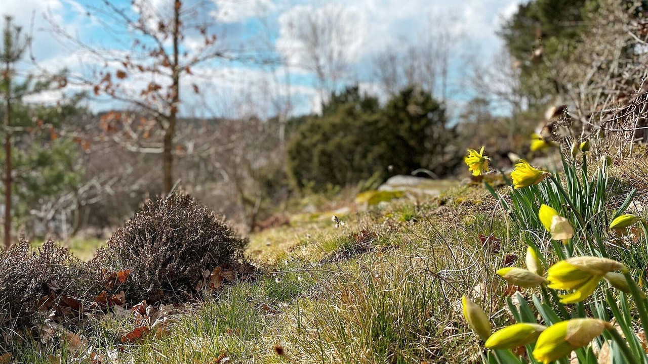 Photo of Outdoor in Hjaelteby