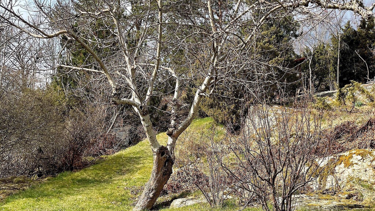 Photo of Outdoor in Hjaelteby