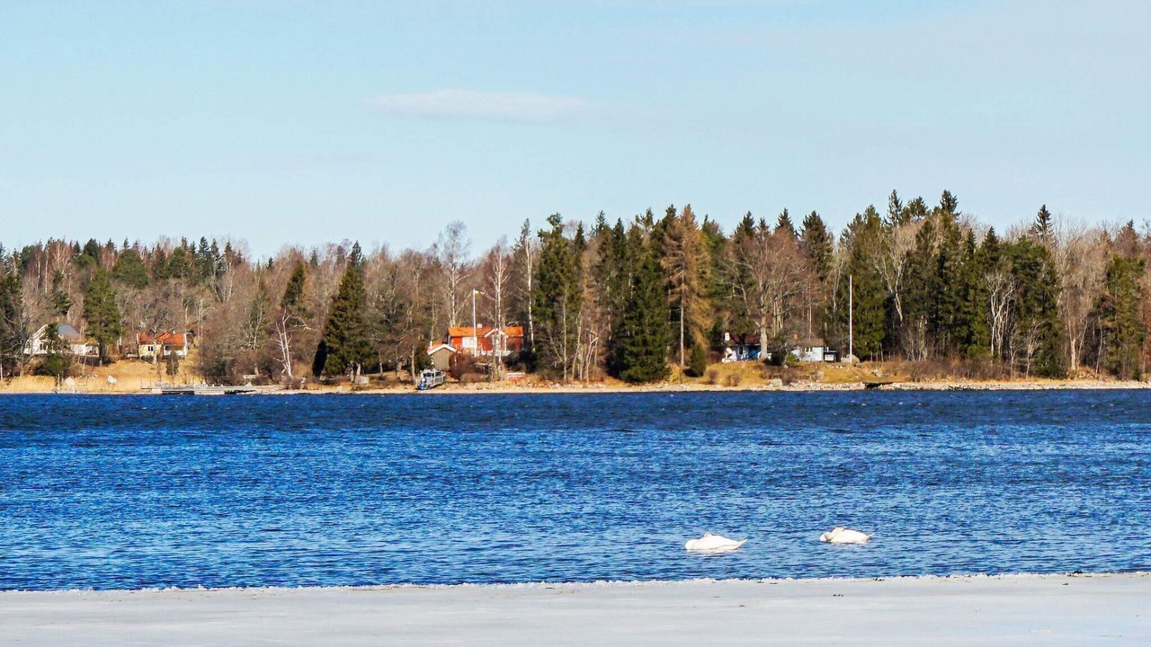 Photo of Others in Sodersvik
