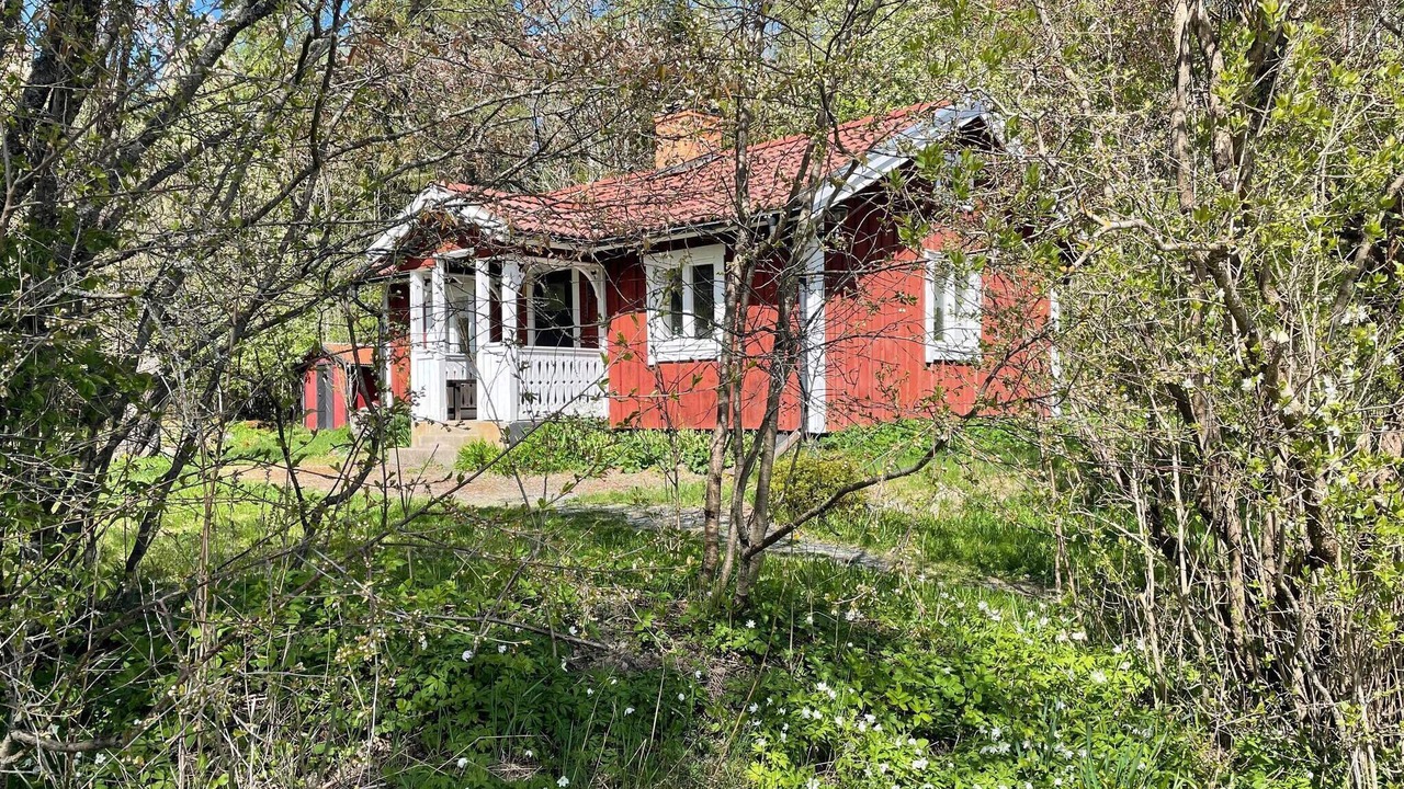 Photo of Outdoor in Dannemora