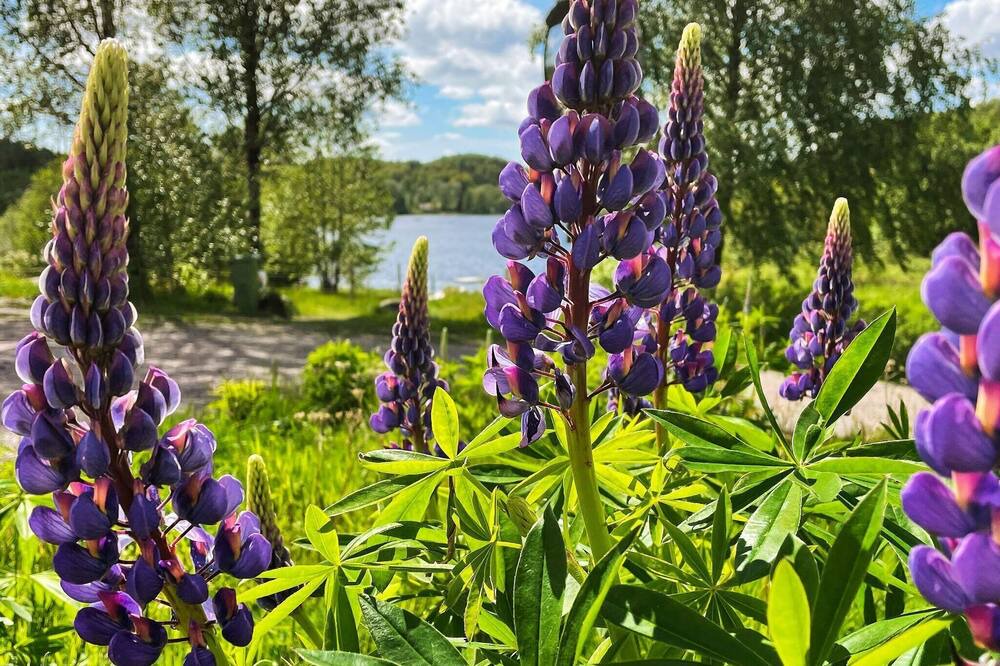 Photo of Outdoor in Kungsbacka O