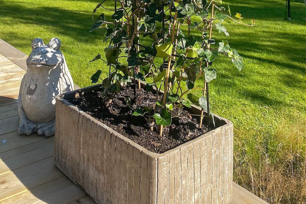 Photo of Outdoor in Krakerud