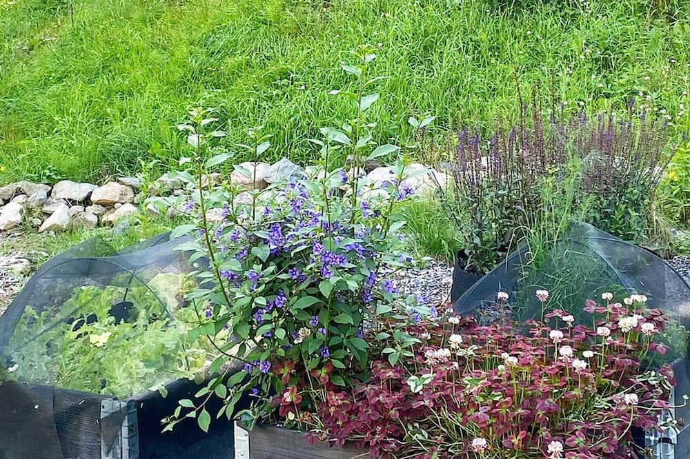 Photo of Outdoor in Krakerud