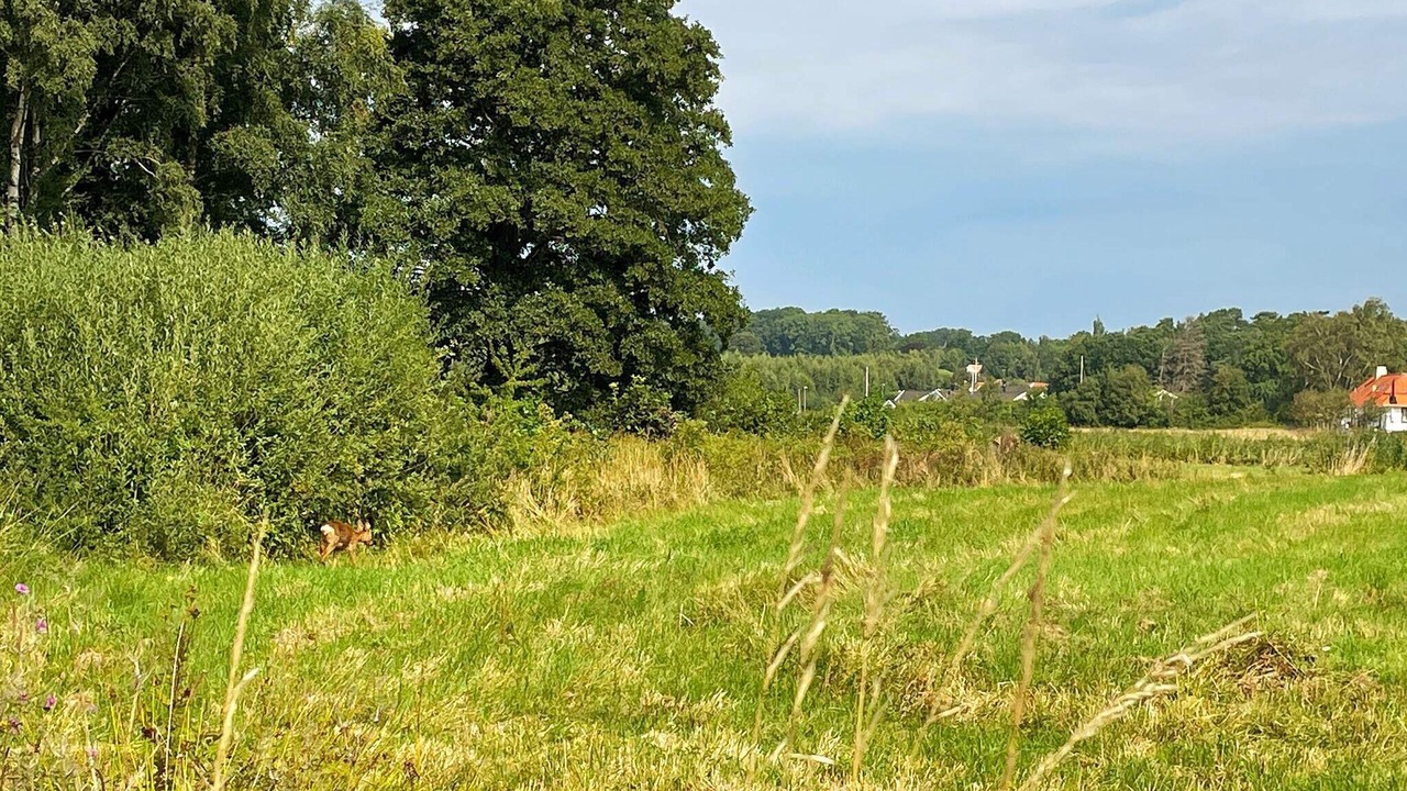 Photo of Outdoor in Gottskar