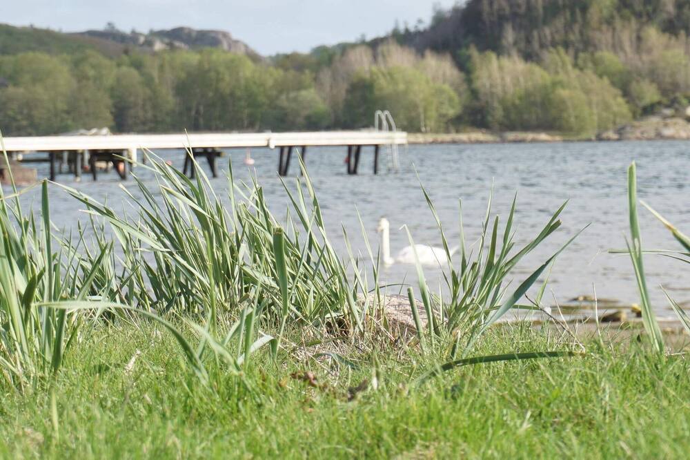 Photo of Others in Hamburgsund