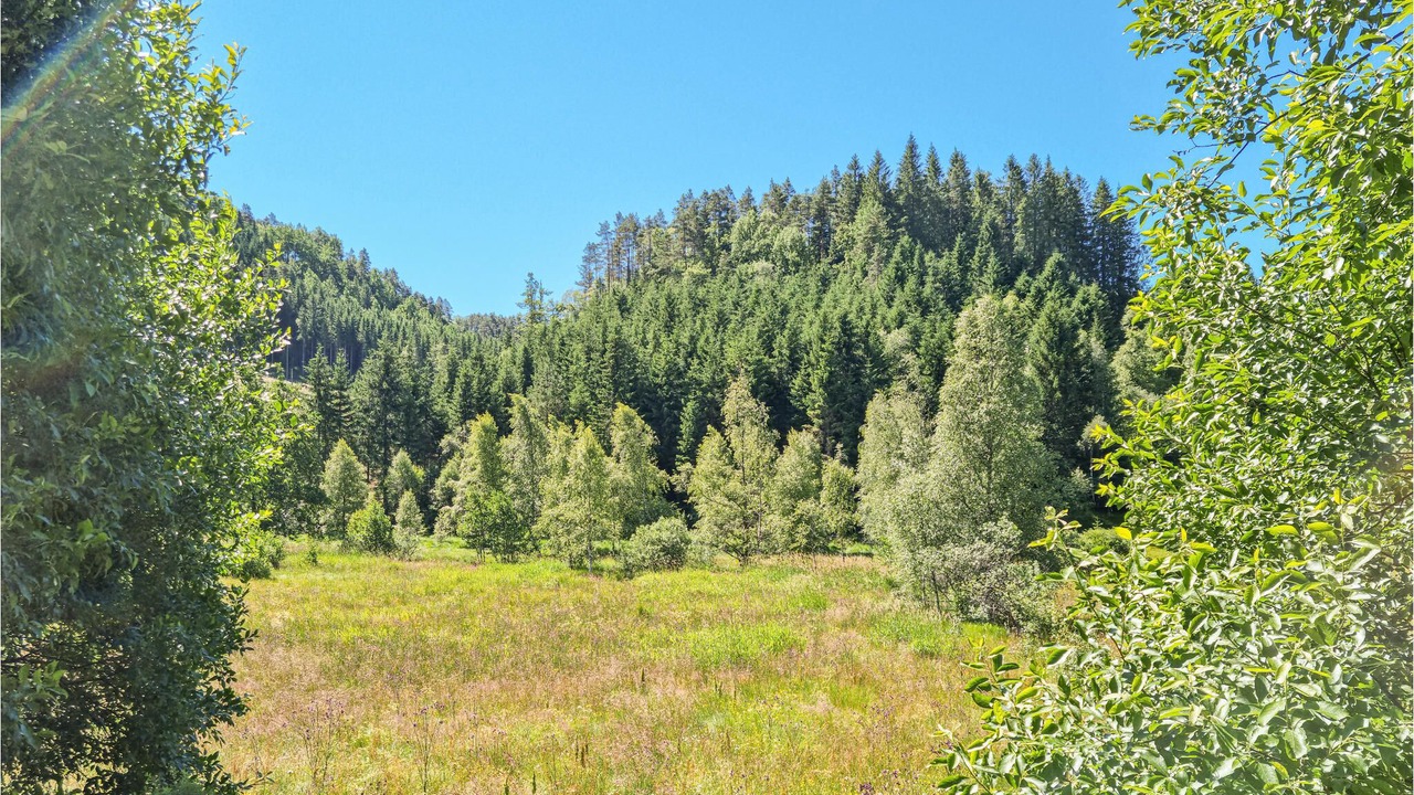 Photo of Outdoor in Sør-audnedal