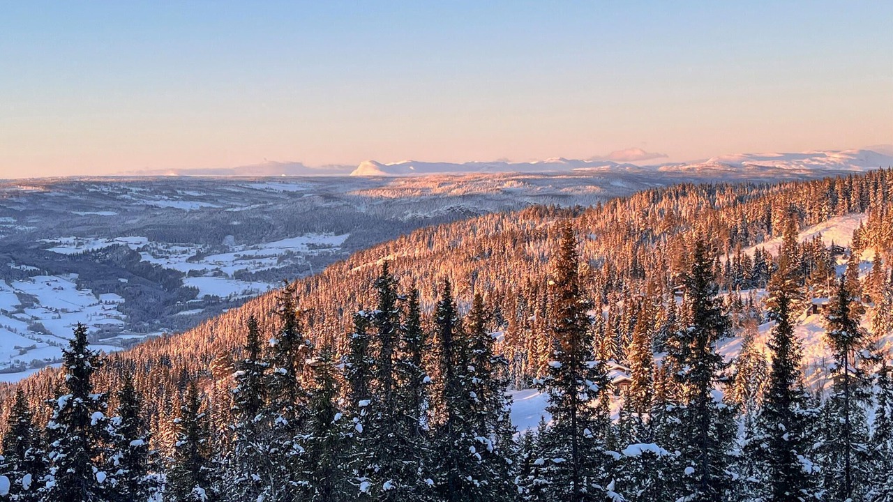 Photo of Others in Nord-Aurdal