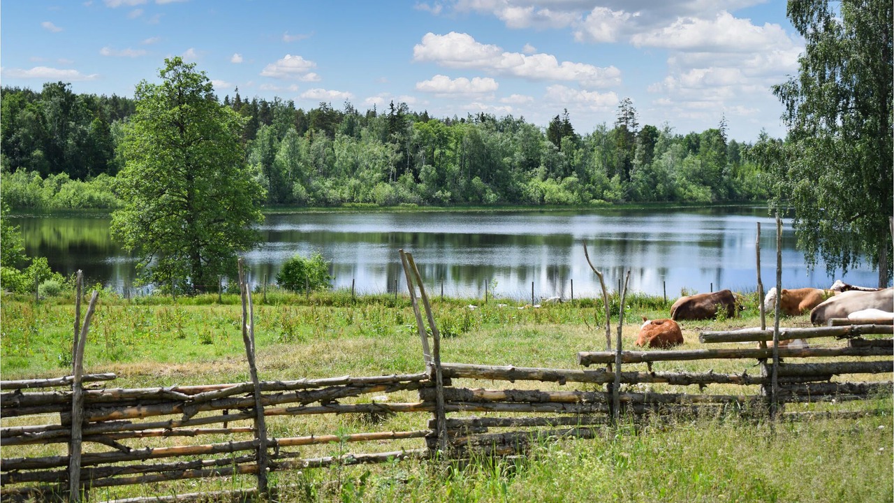 Photo of Outdoor in Vimmerby