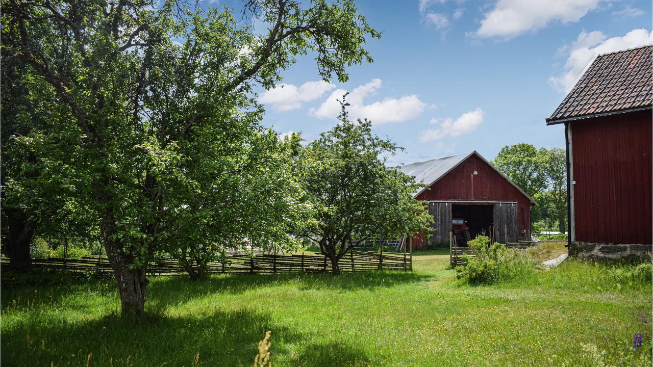 Photo of Outdoor in Vimmerby