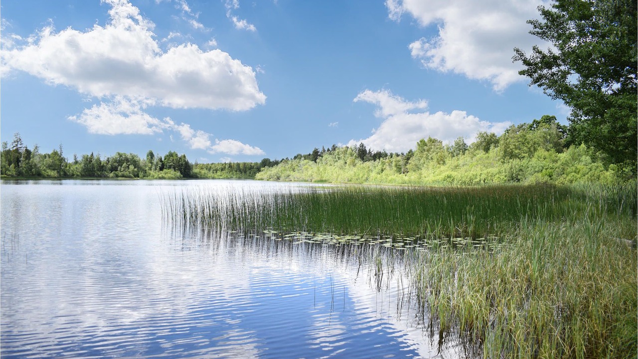 Photo of Outdoor in Vimmerby