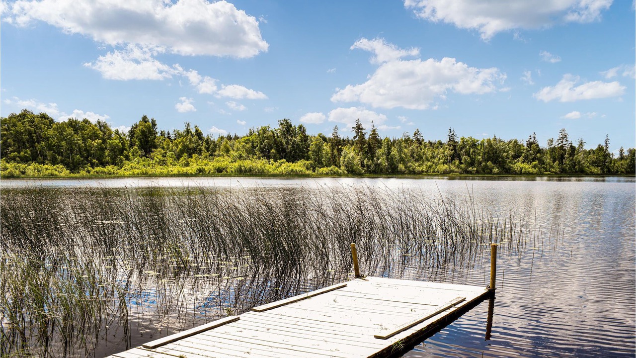 Photo of Outdoor in Vimmerby