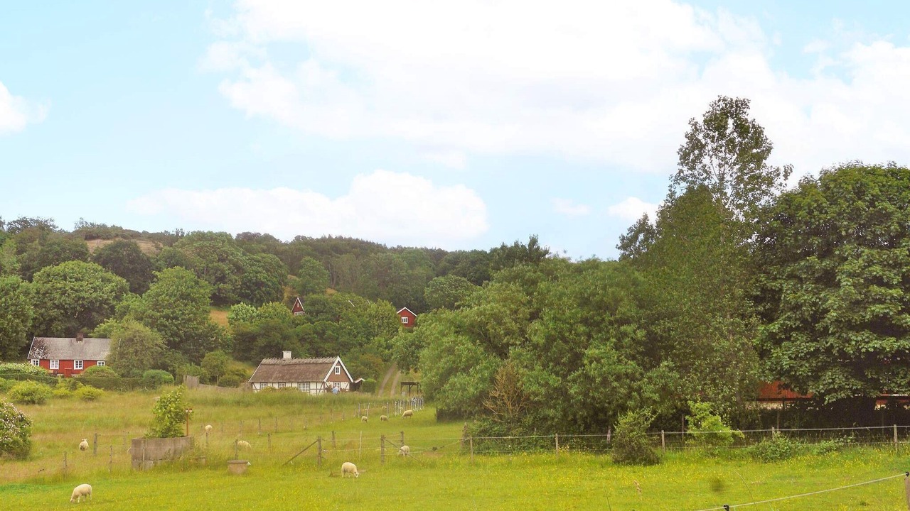 Photo of Outdoor in Molle