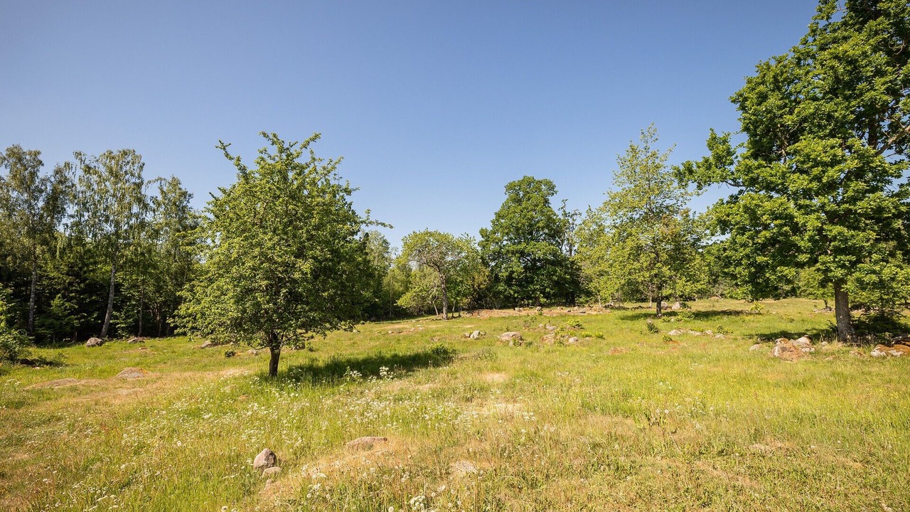Photo of Others in Vimmerby Municipality